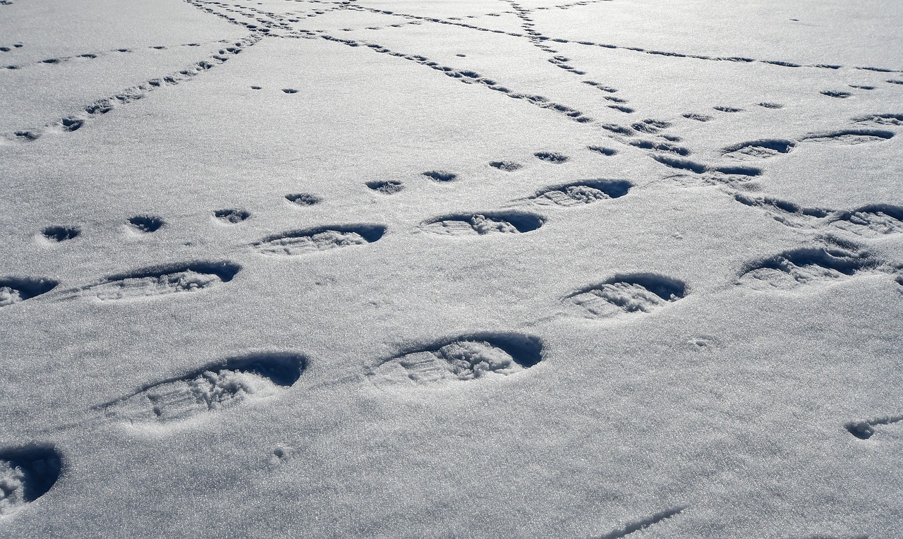 The Best Snowshoeing Trails in the Adirondacks